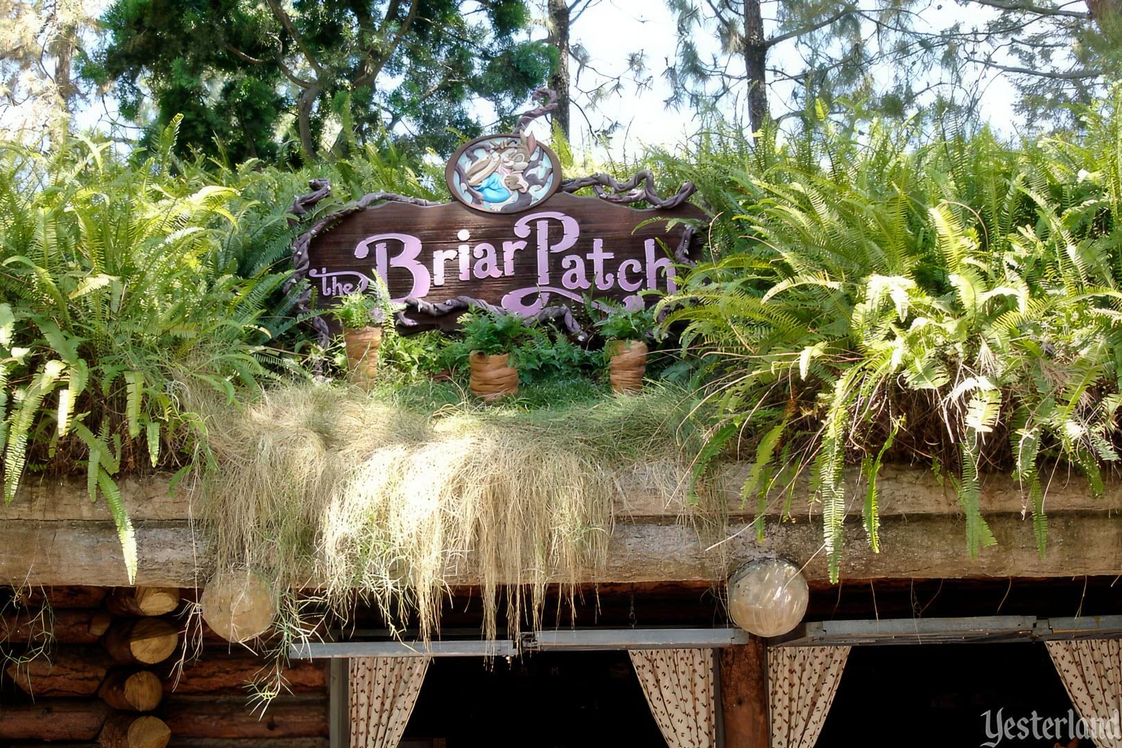 Yesterland: The Briar Patch at Critter Country Yesterland: The Briar Patch at Critter Country