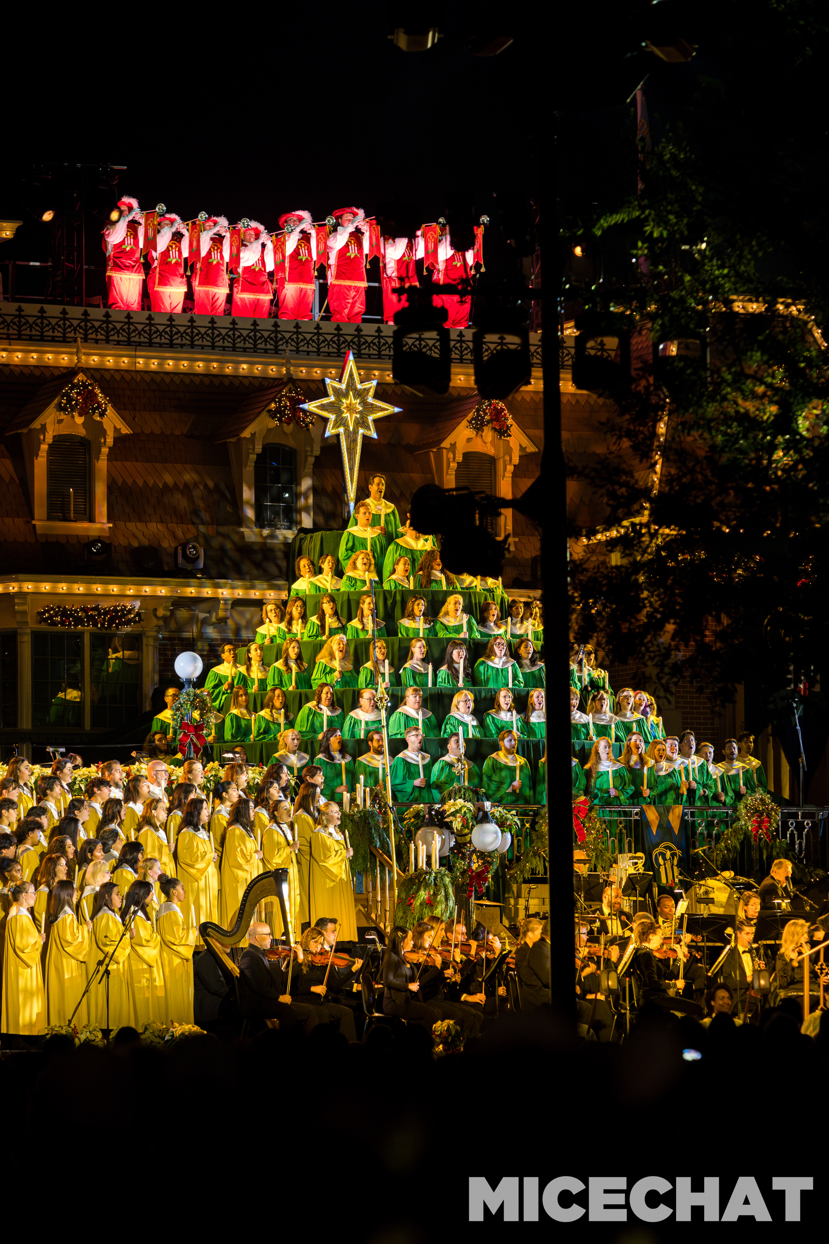 , DISNEYLAND UPDATE: Bayou Undo, 70th To-Do, & Candlelight Too!