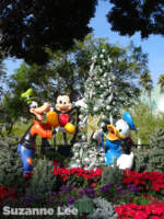 016_Downtown Disney_Holiday decorations