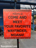 025_Disney California Adventure_Moana 2 meet and greet