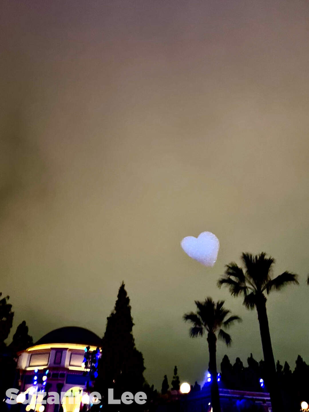 , Disneyland Update – Tiger Unleashed, Gate Update & Legal Fallout