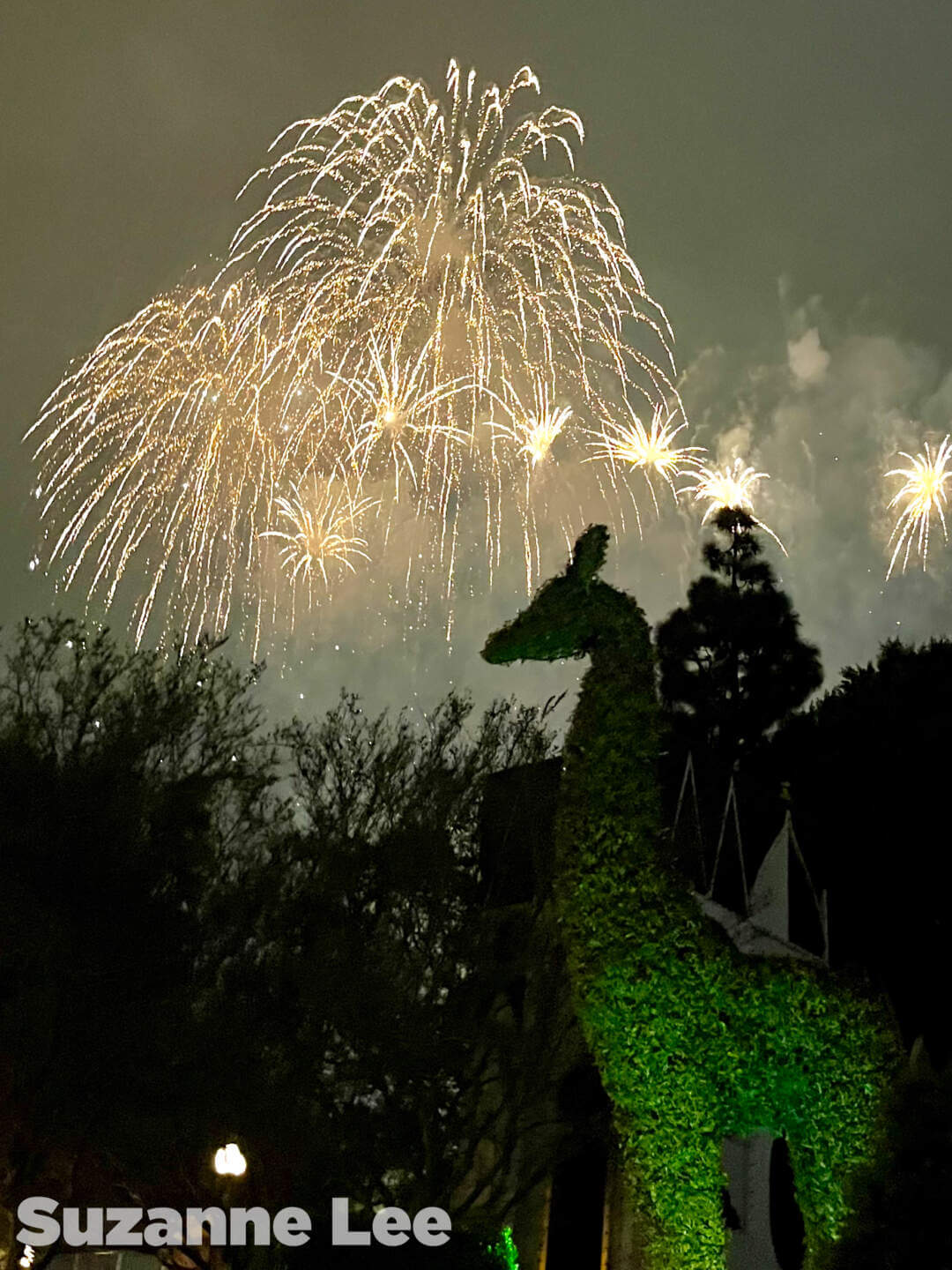 , Disneyland Update – Tiger Unleashed, Gate Update & Legal Fallout