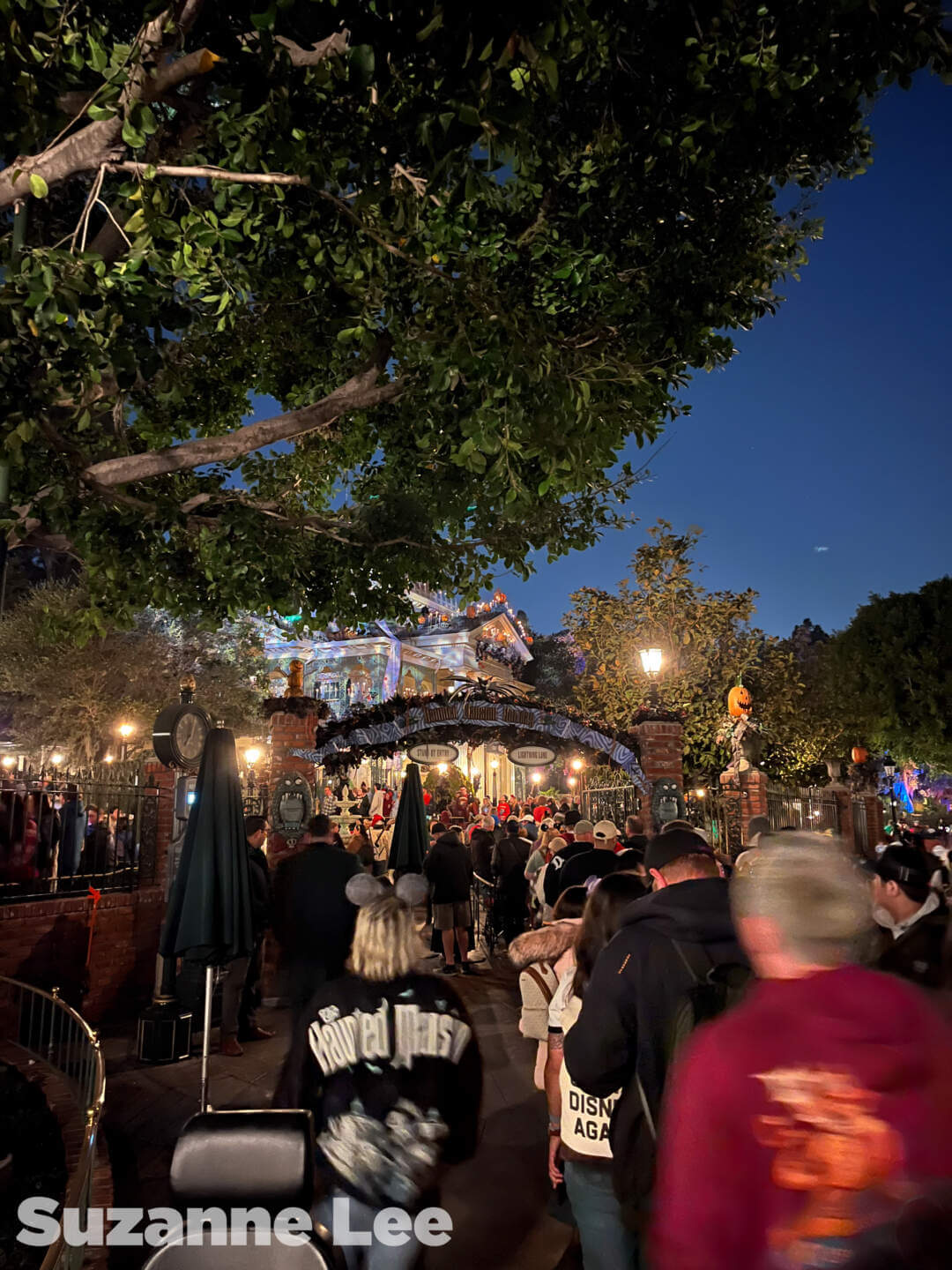 , Disneyland Update – Tiger Unleashed, Gate Update & Legal Fallout