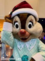 101_Disneyland Hotel_Dale