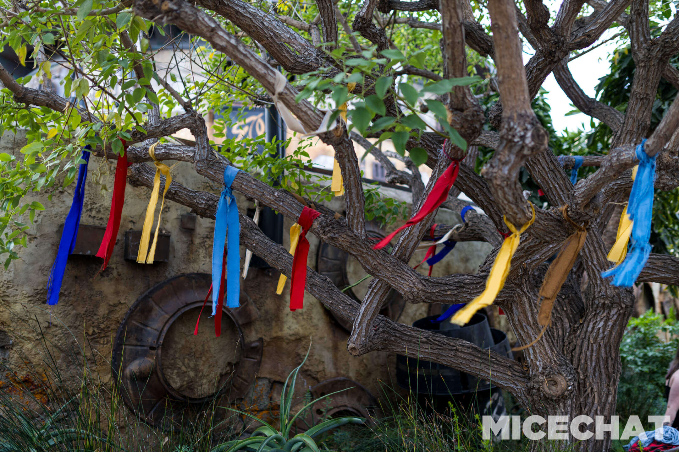 , Disneyland Update – Tiger Unleashed, Gate Update & Legal Fallout