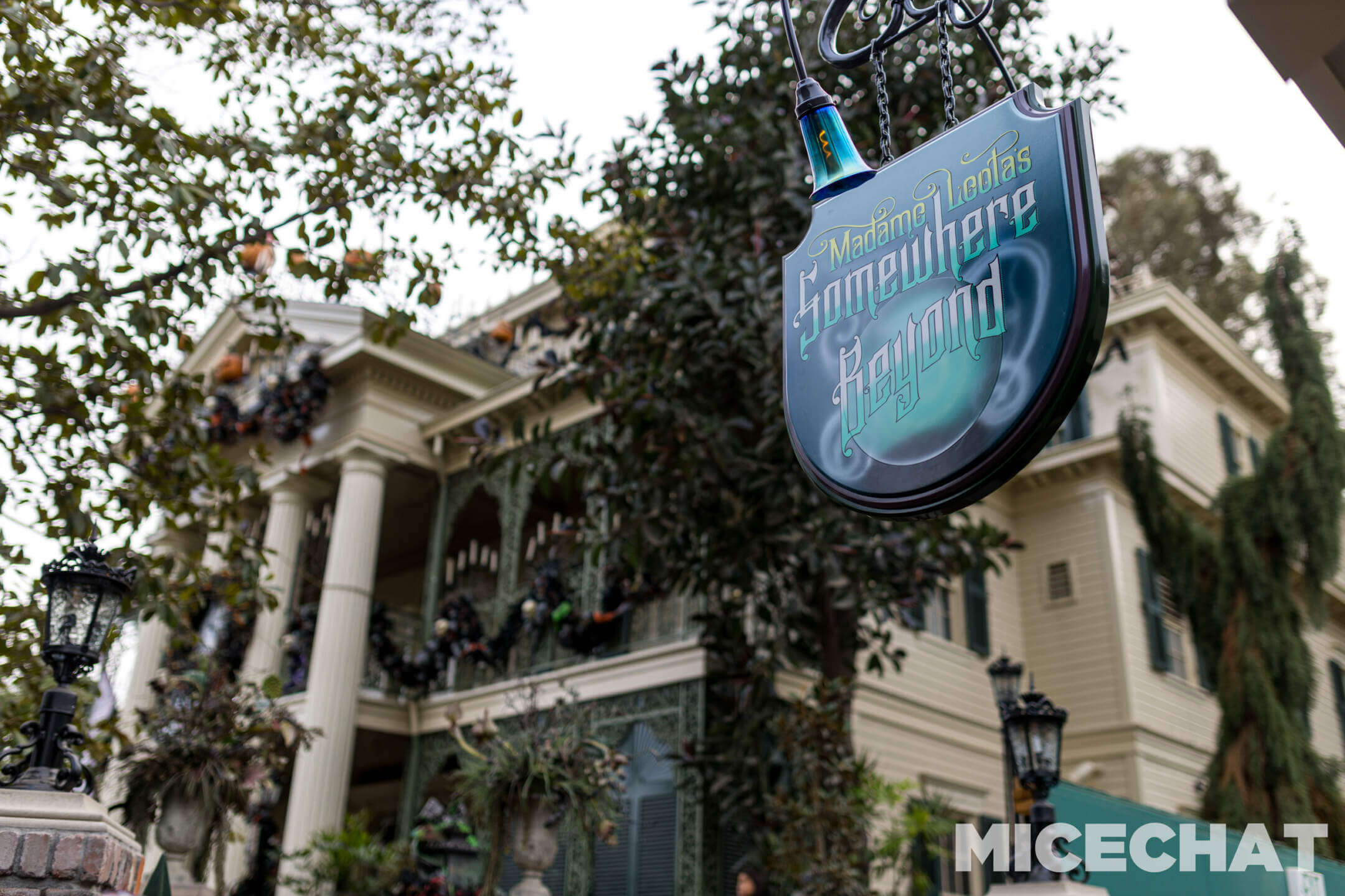 , Disneyland Update – Tiger Unleashed, Gate Update & Legal Fallout