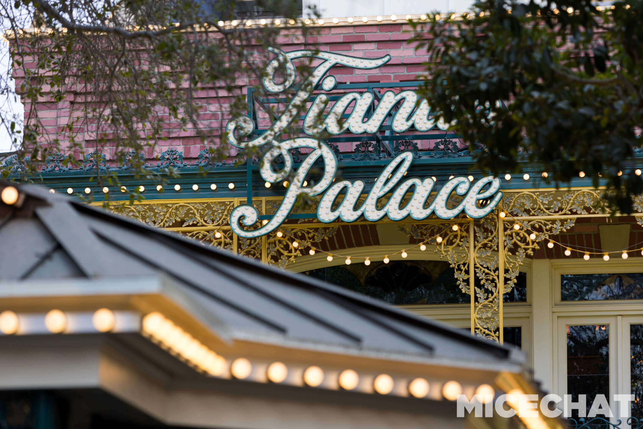 , Disneyland Update – Tiger Unleashed, Gate Update & Legal Fallout