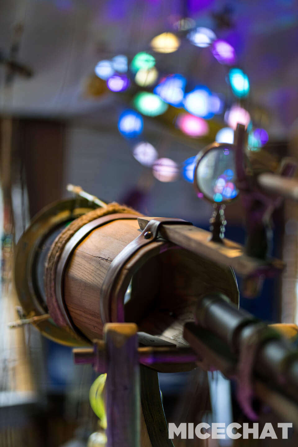 , Disneyland Update – Tiger Unleashed, Gate Update & Legal Fallout
