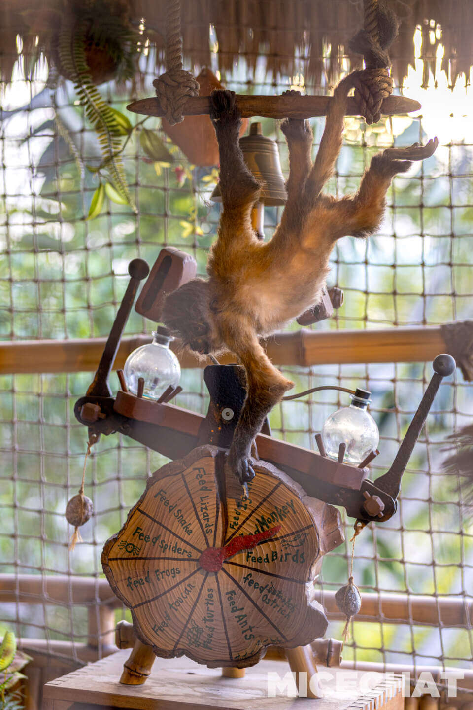 , Disneyland Update – Tiger Unleashed, Gate Update & Legal Fallout