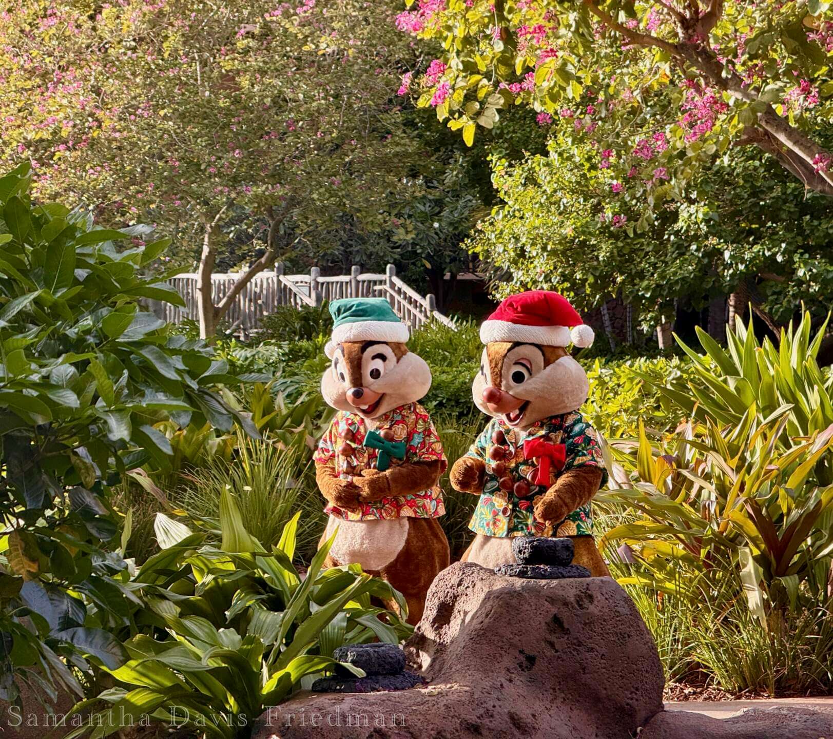 , MiceShots: A Festive Flight Through Disney’s Winter Wonderlands