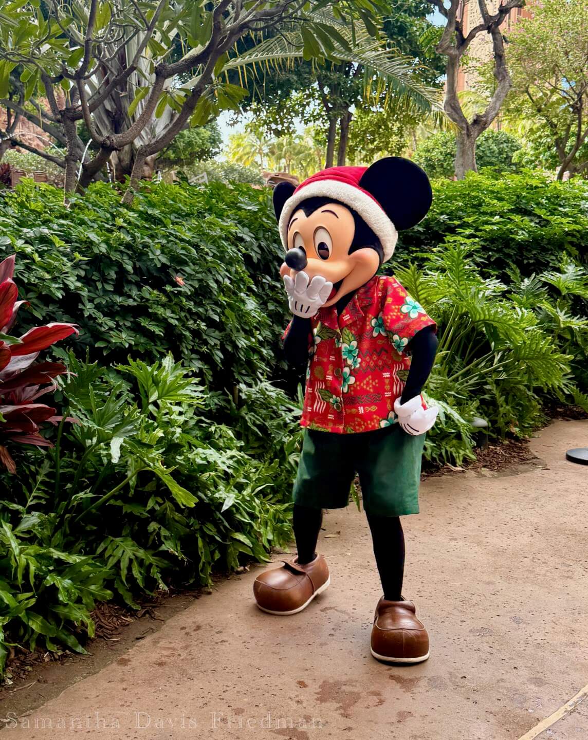 , MiceShots: A Festive Flight Through Disney’s Winter Wonderlands