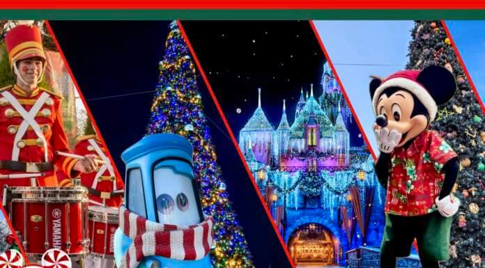 MiceShots: A Festive Flight Through Disney’s Winter Wonderlands