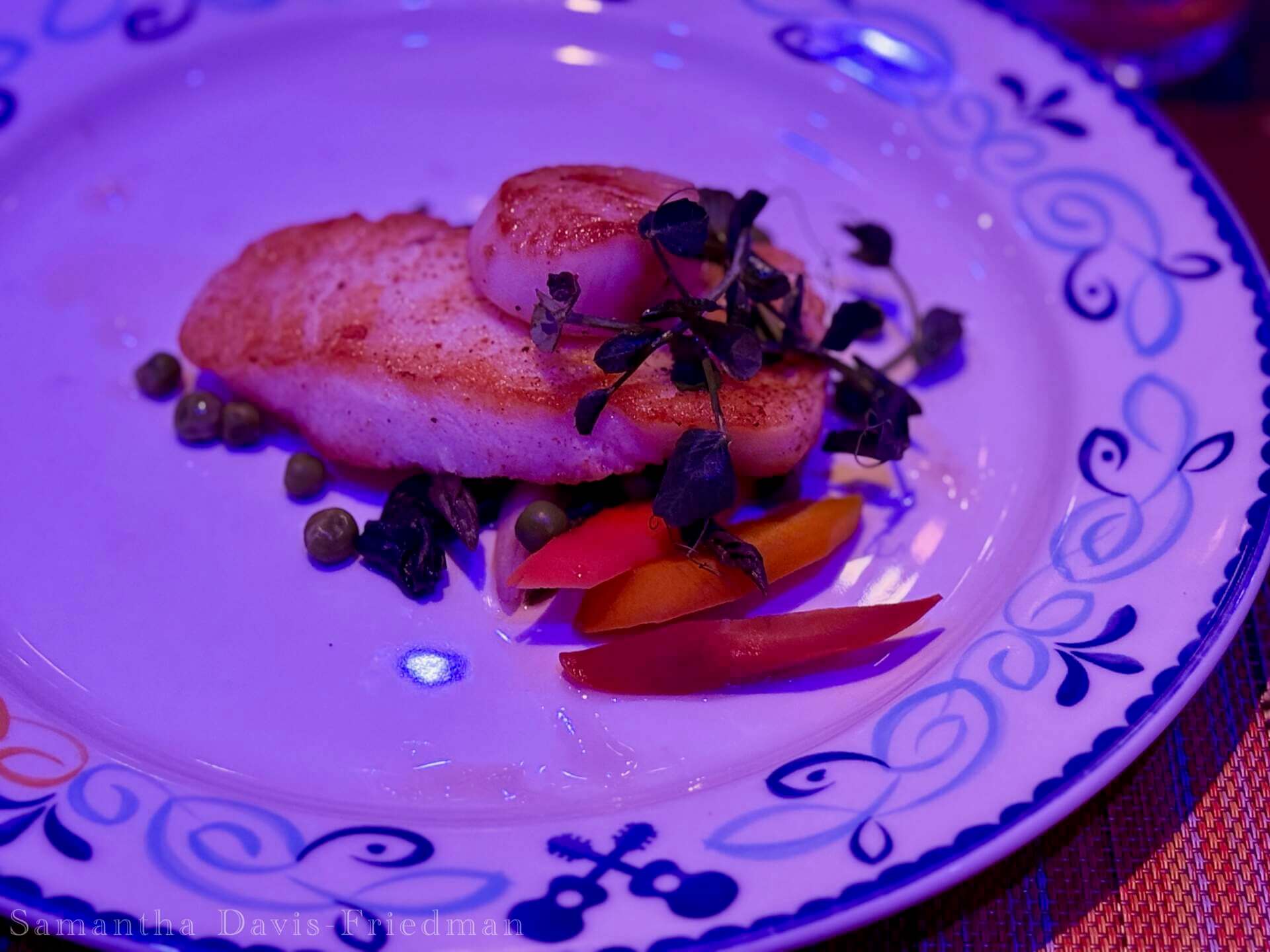 Chef's Kiss: A Guide to Dining on the Disney Treasure Cruise Ship