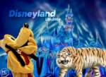 Disneyland News Winter Magic