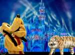 Disneyland News Winter Magic Tiger Pluto