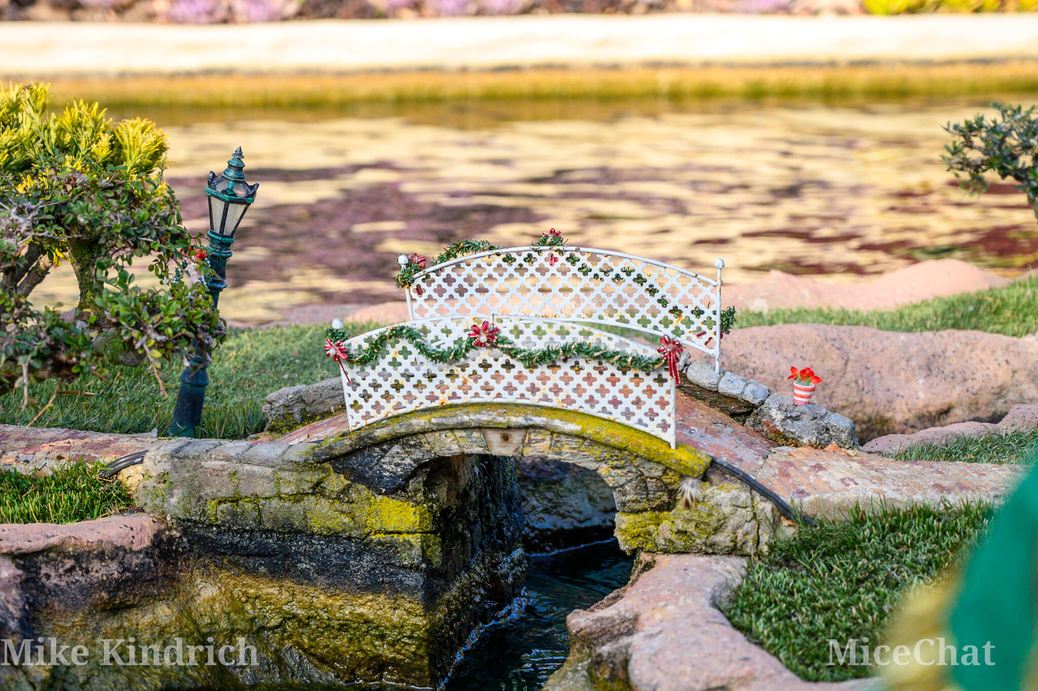, DISNEYLAND UPDATE: Bayou Undo, 70th To-Do, & Candlelight Too!