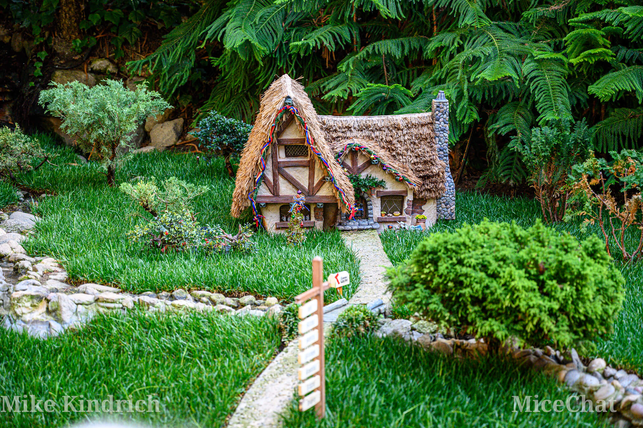 , DISNEYLAND UPDATE: Bayou Undo, 70th To-Do, & Candlelight Too!