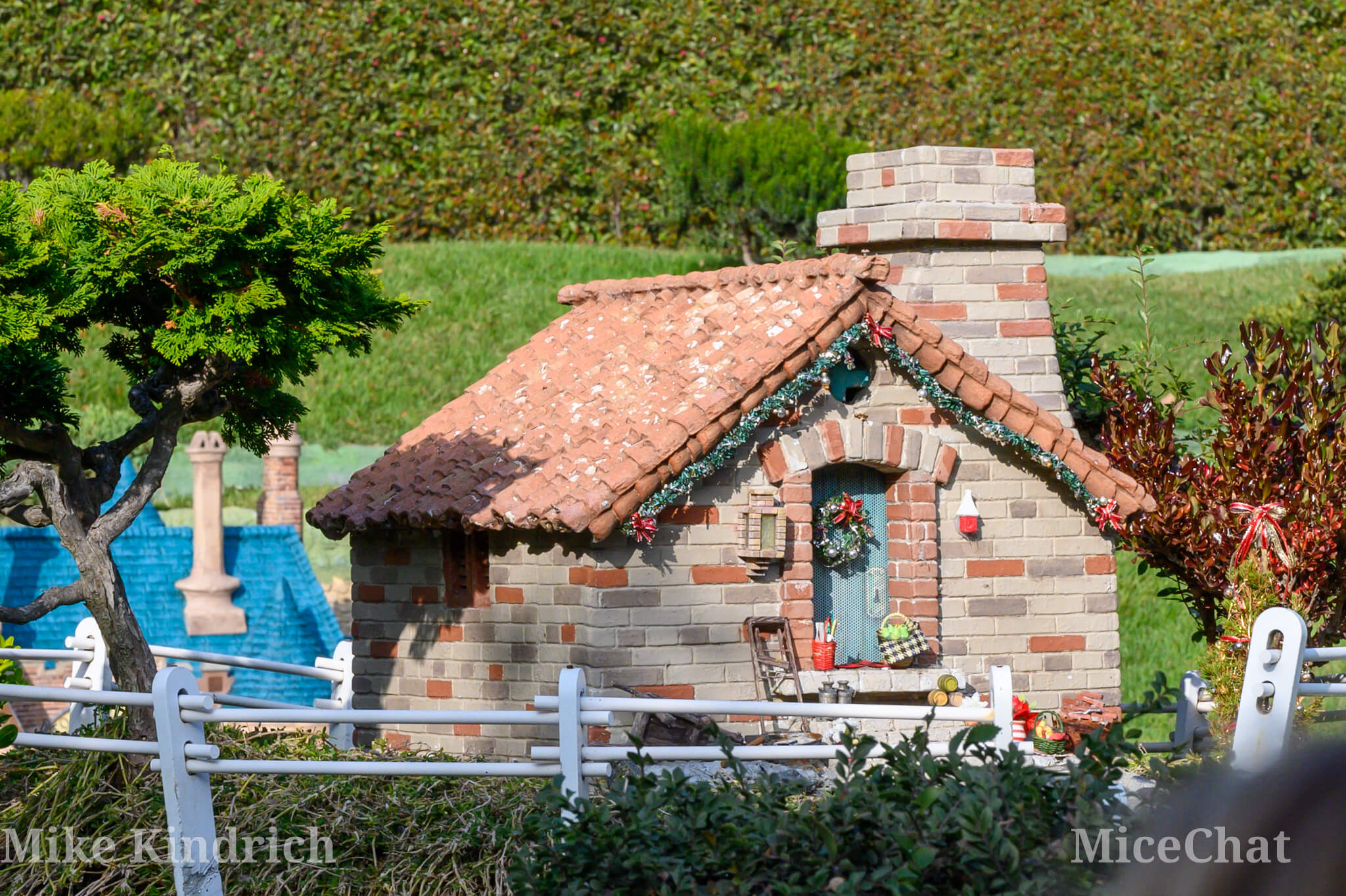 , DISNEYLAND UPDATE: Bayou Undo, 70th To-Do, & Candlelight Too!