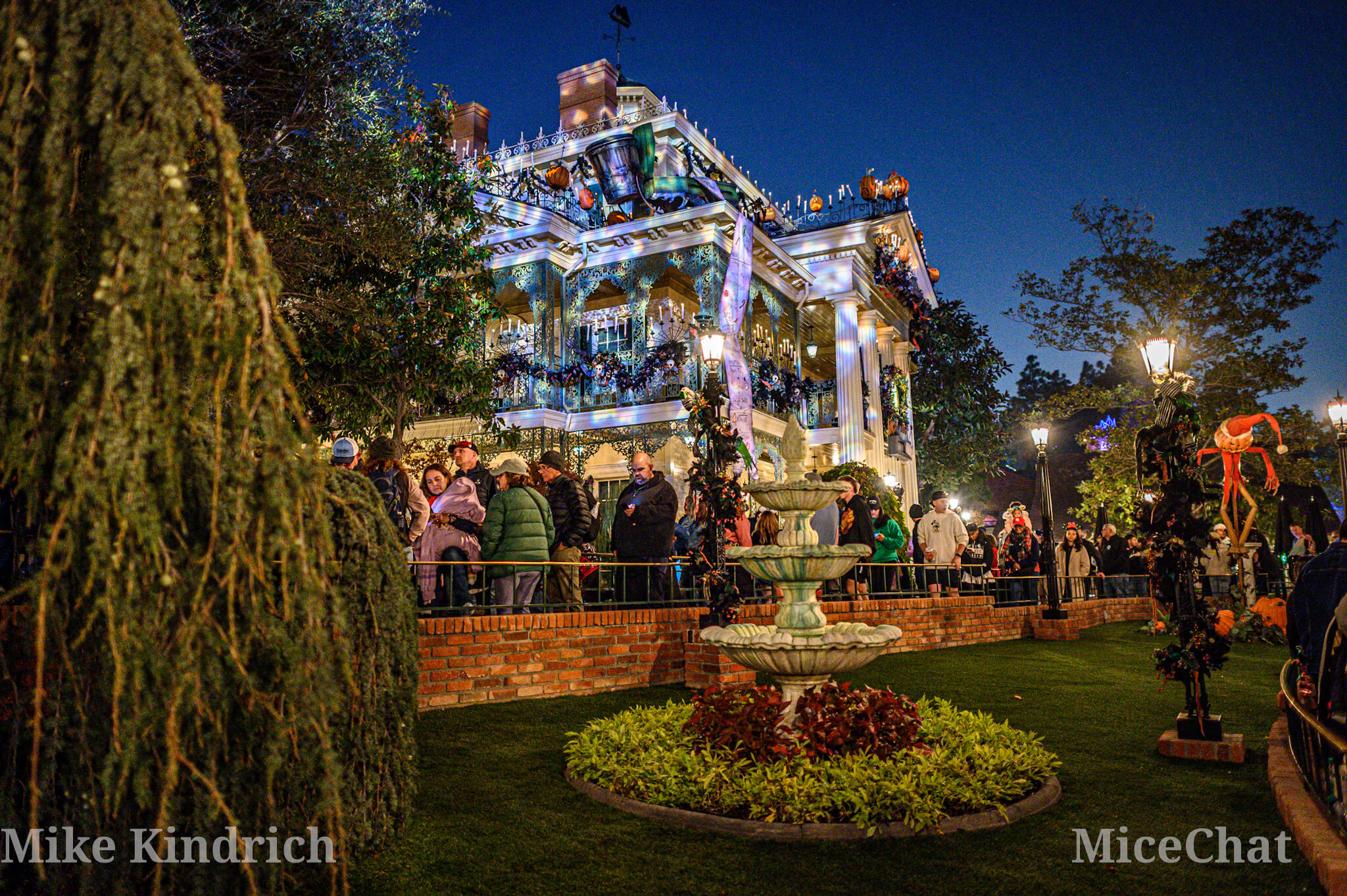 , DISNEYLAND UPDATE: Bayou Undo, 70th To-Do, & Candlelight Too!