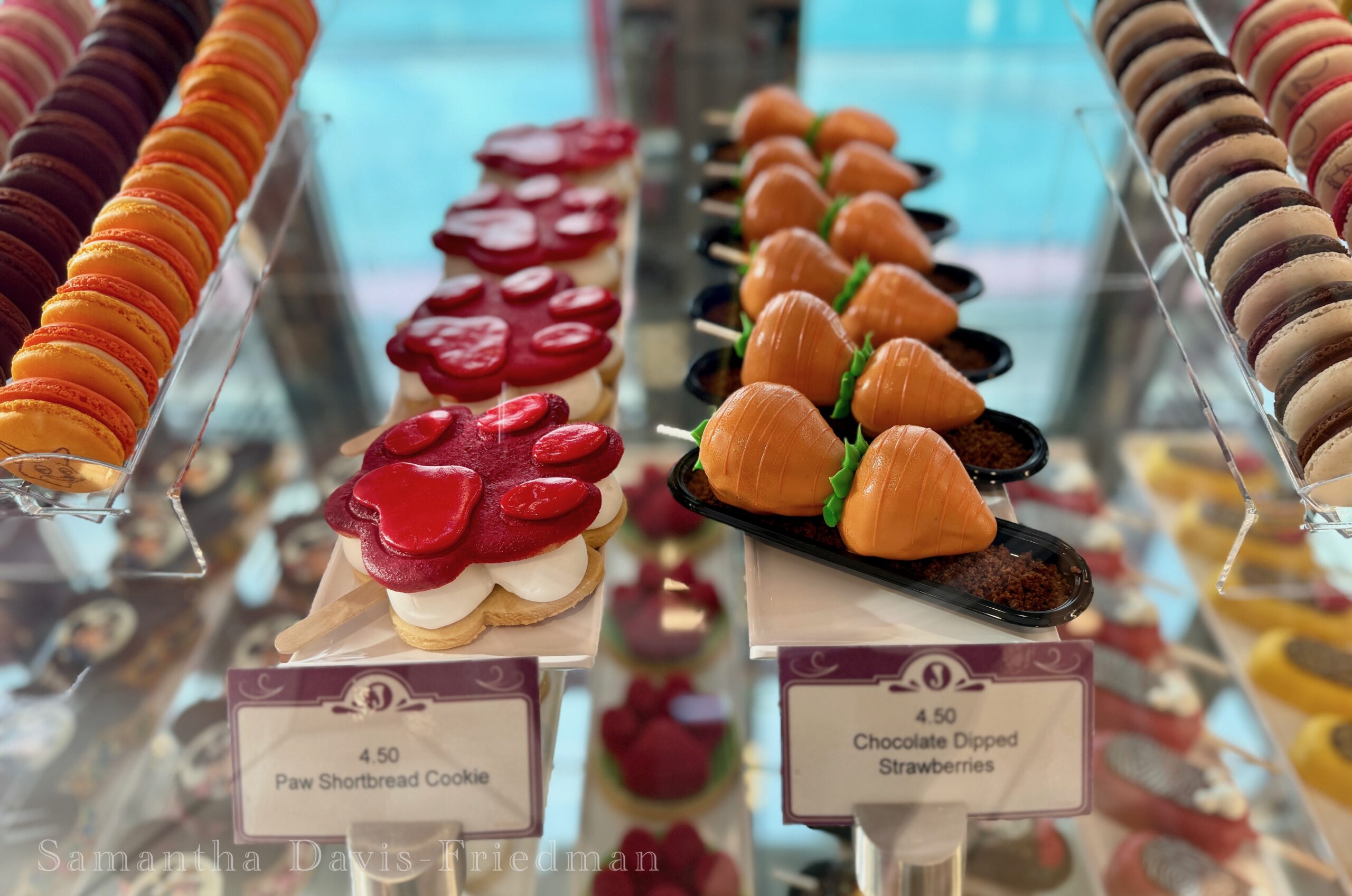 Disney Treasure, Everything You Need To Know About The Disney Treasure Cruise Ship!