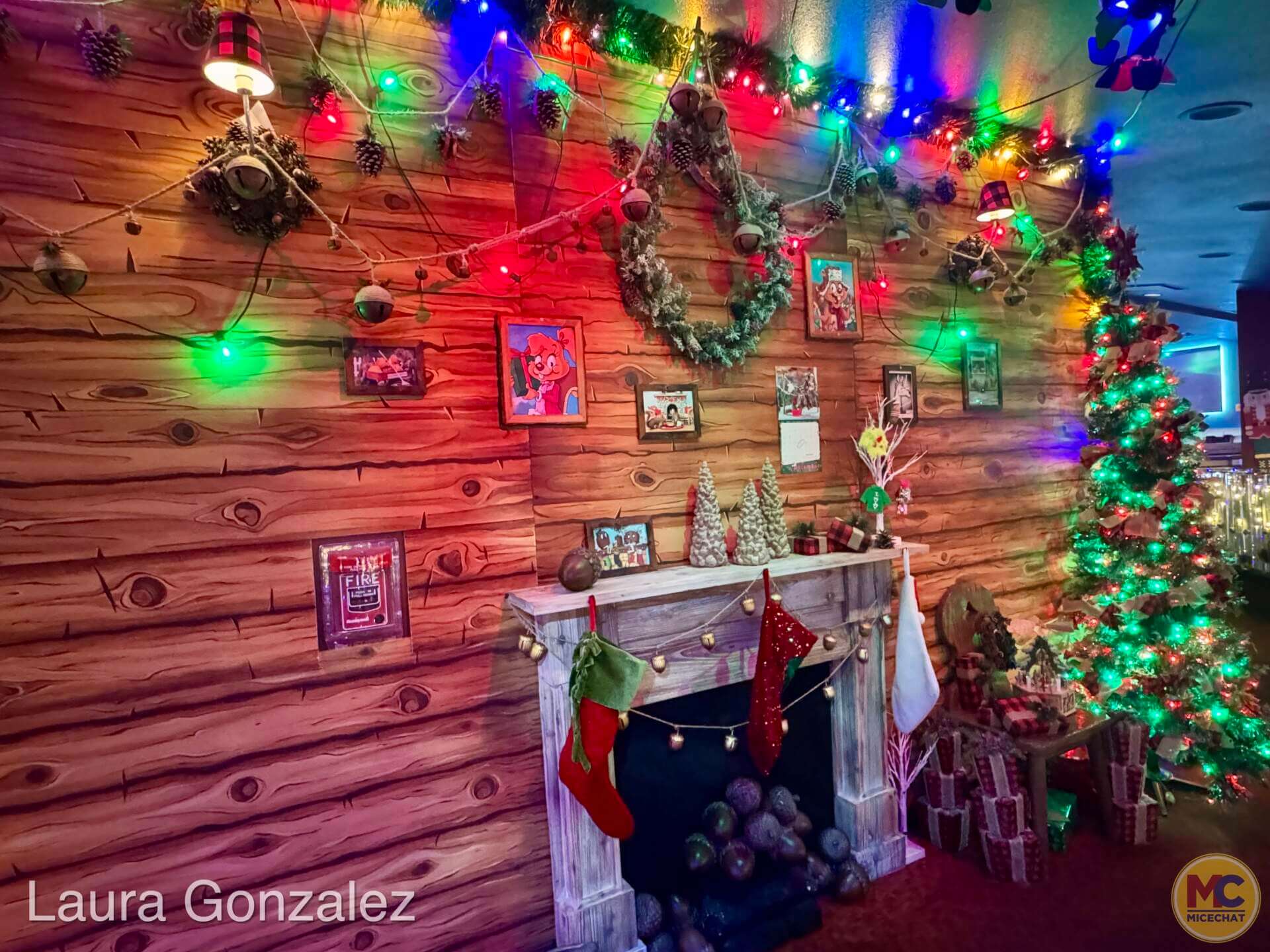 Universal Orlando VIP Tour, Universal Orlando Holiday VIP Tour: Festivities, Favorites & Exclusive Access