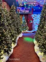 Universal-Orlando-Florida-UOR-Holidays-Green-Red-Coconut-Room-2024-9