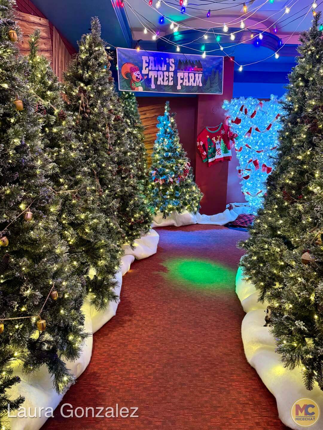 Universal Orlando VIP Tour, Universal Orlando Holiday VIP Tour: Festivities, Favorites & Exclusive Access