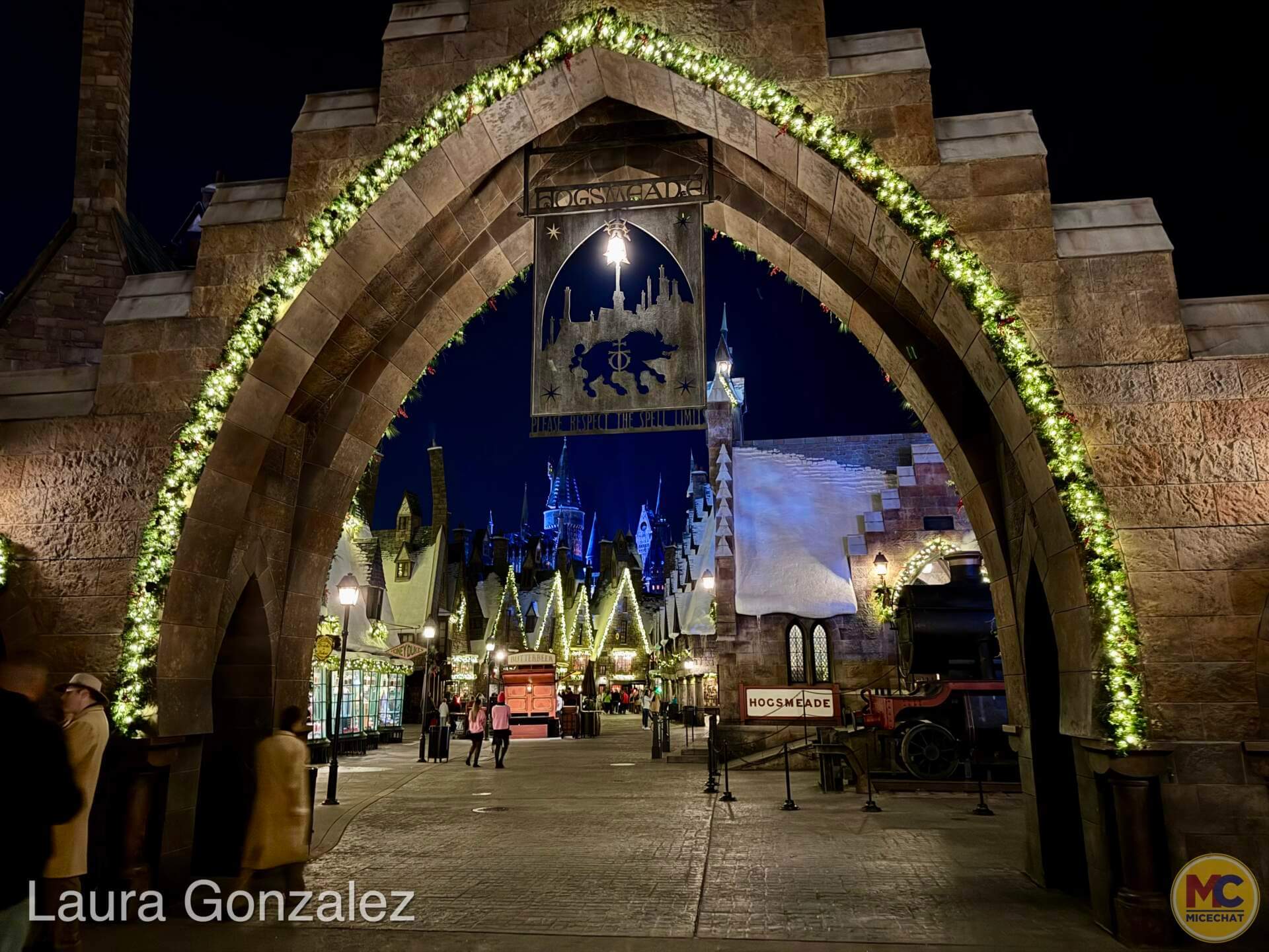 Universal Orlando VIP Tour, Universal Orlando Holiday VIP Tour: Festivities, Favorites & Exclusive Access