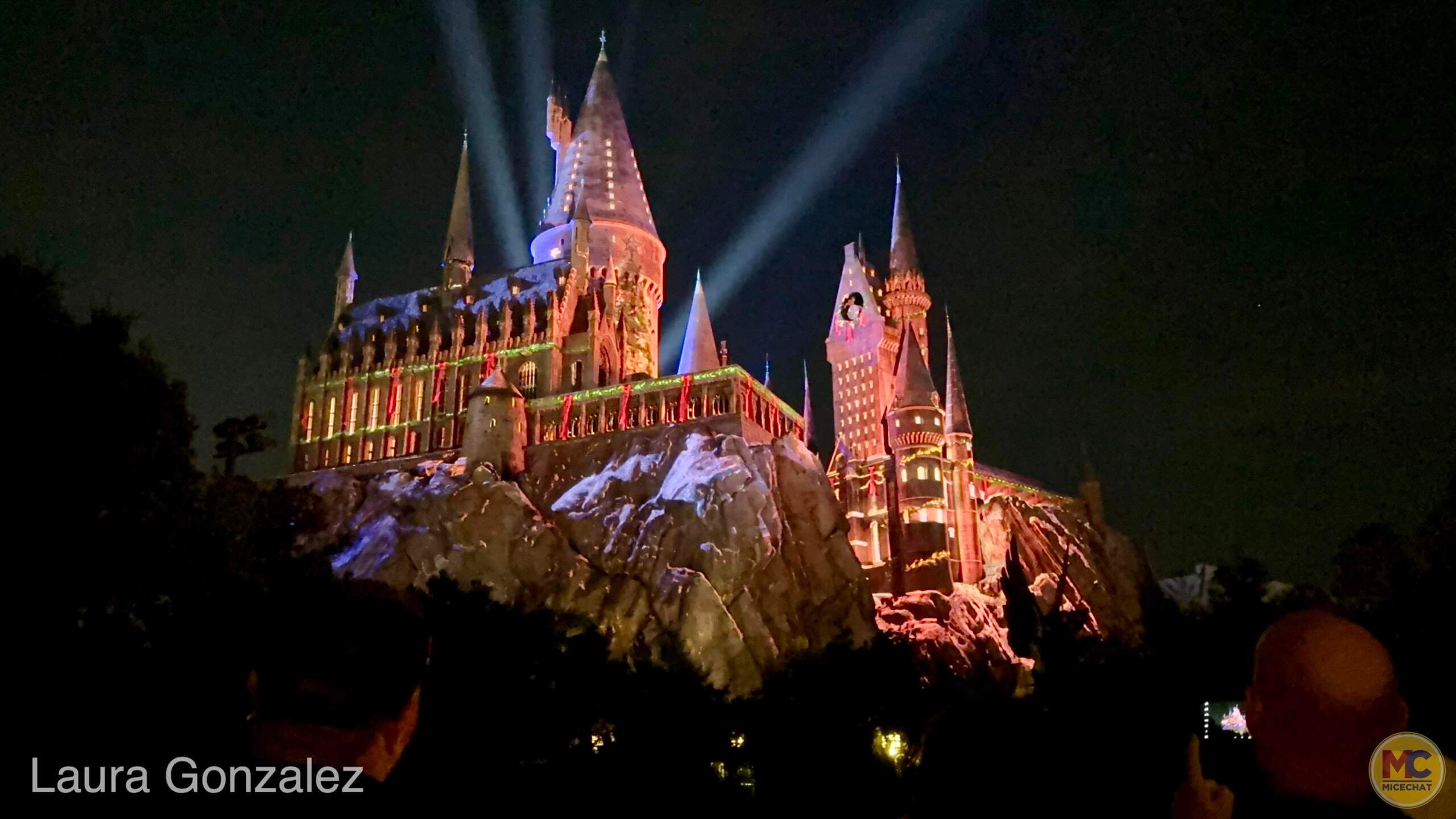 Universal Orlando VIP Tour, Universal Orlando Holiday VIP Tour: Festivities, Favorites & Exclusive Access