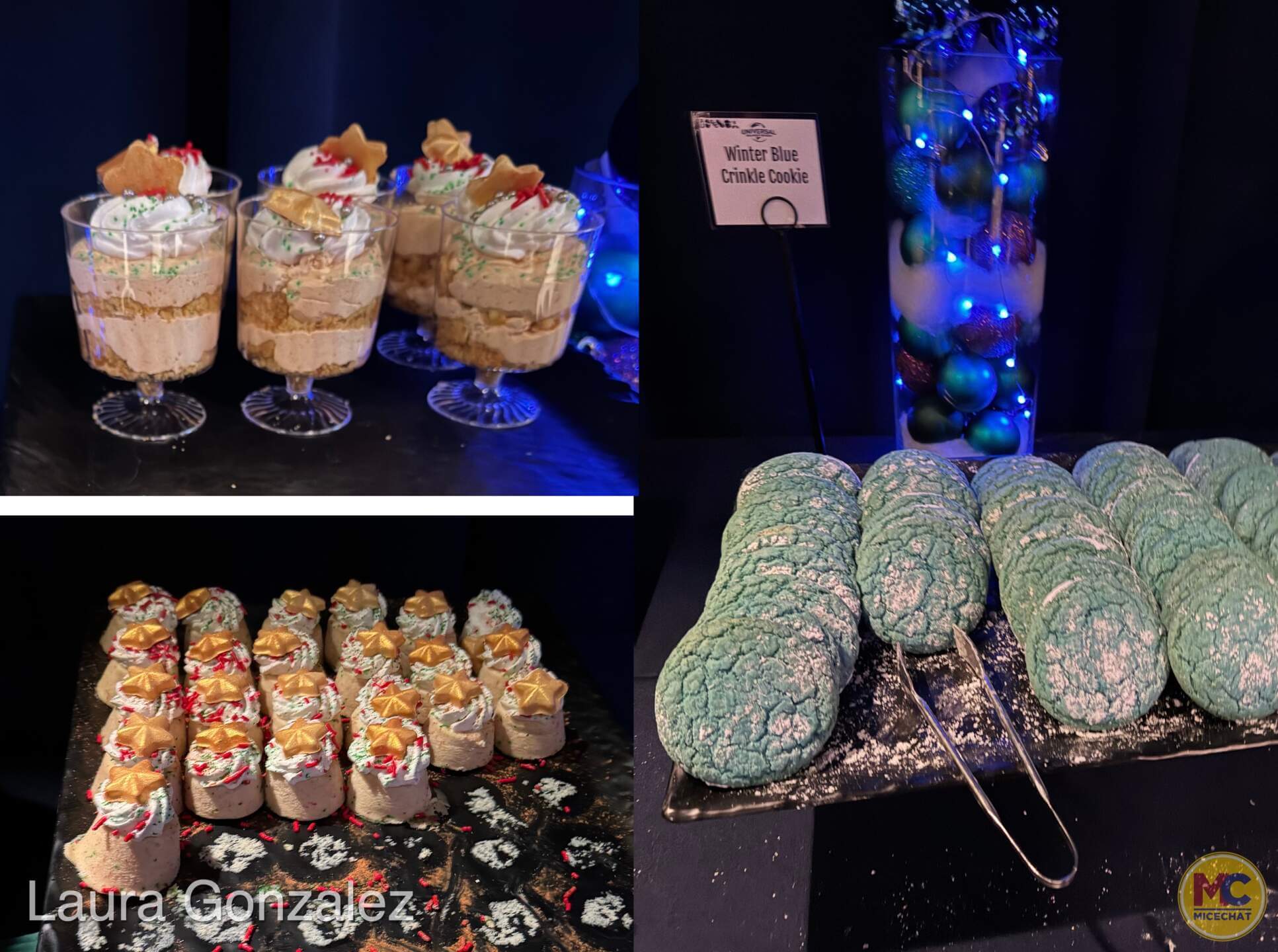 Universal Orlando VIP Tour, Universal Orlando Holiday VIP Tour: Festivities, Favorites & Exclusive Access