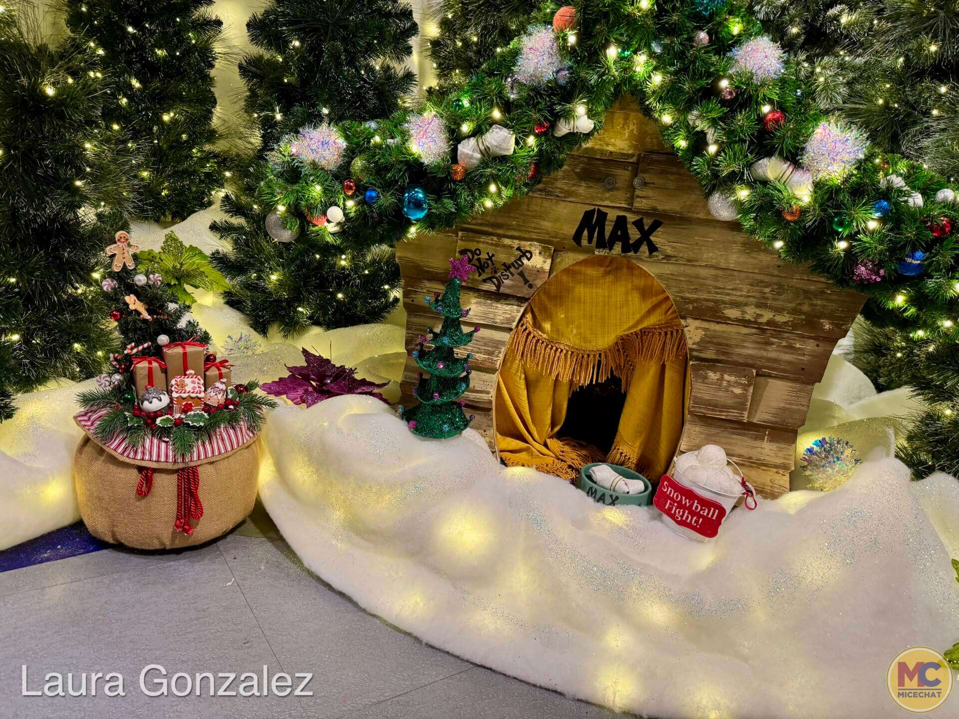 Universal Orlando VIP Tour, Universal Orlando Holiday VIP Tour: Festivities, Favorites & Exclusive Access