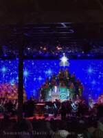 WDW – Candlelight – Brendan Fraser closeup