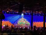 WDW – Candlelight – Tituss Burgess