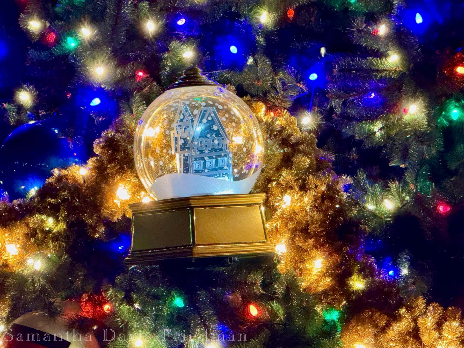 , MiceShots: A Festive Flight Through Disney’s Winter Wonderlands