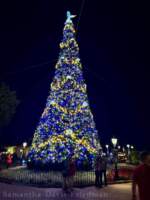 WDW – Epcot Christmas Tree