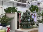WDW – Living With The Land – Glimmering Greenhouses 3