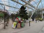 WDW – Living With The Land – Glimmering Greenhouses 4