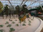 WDW – Living With The Land – Glimmering Greenhouses 6
