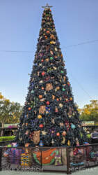 Wald Disney World_Animal Kingdom_Christmas Tree