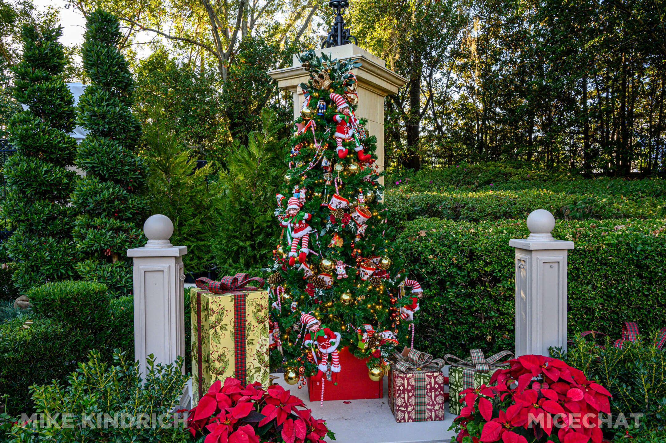 , MiceShots: A Festive Flight Through Disney’s Winter Wonderlands