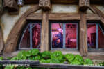 Wald Disney World_Magic Kingdom_Fantasyland_Seven Dwarfs Mine Train Ride_Dopy Dancing