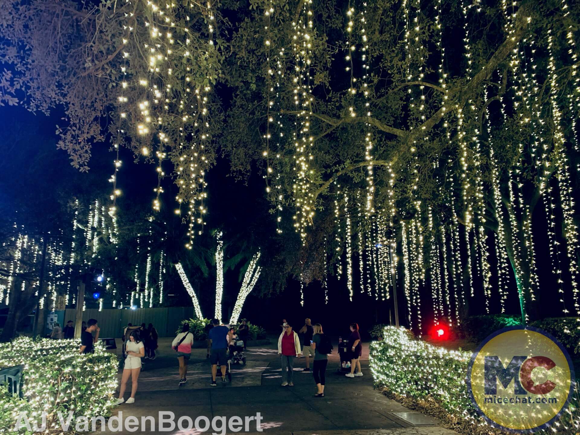 , Busch Gardens Tampa Christmas Town: Lights, Thrills, and Festive Delights!