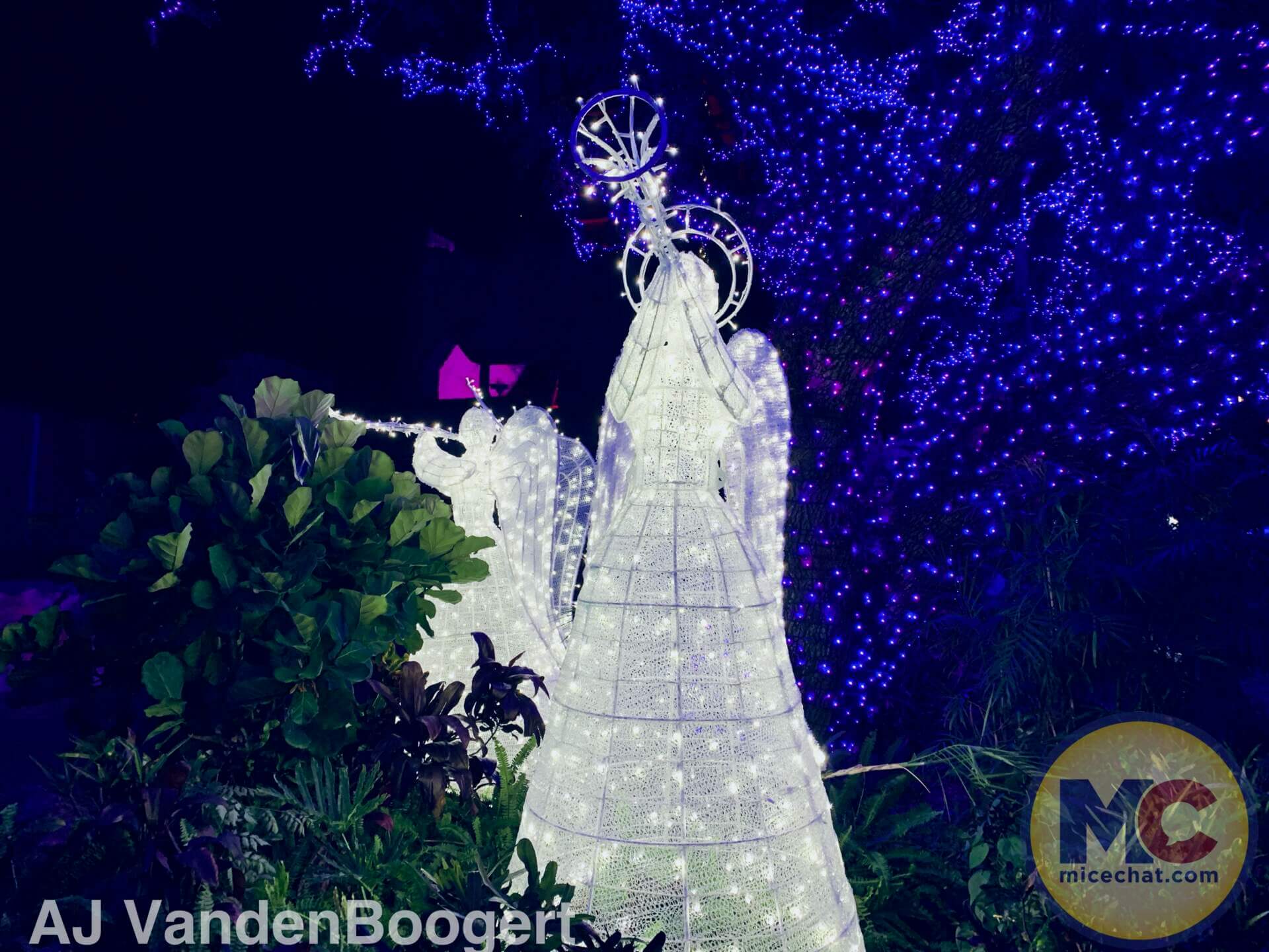 , Busch Gardens Tampa Christmas Town: Lights, Thrills, and Festive Delights!