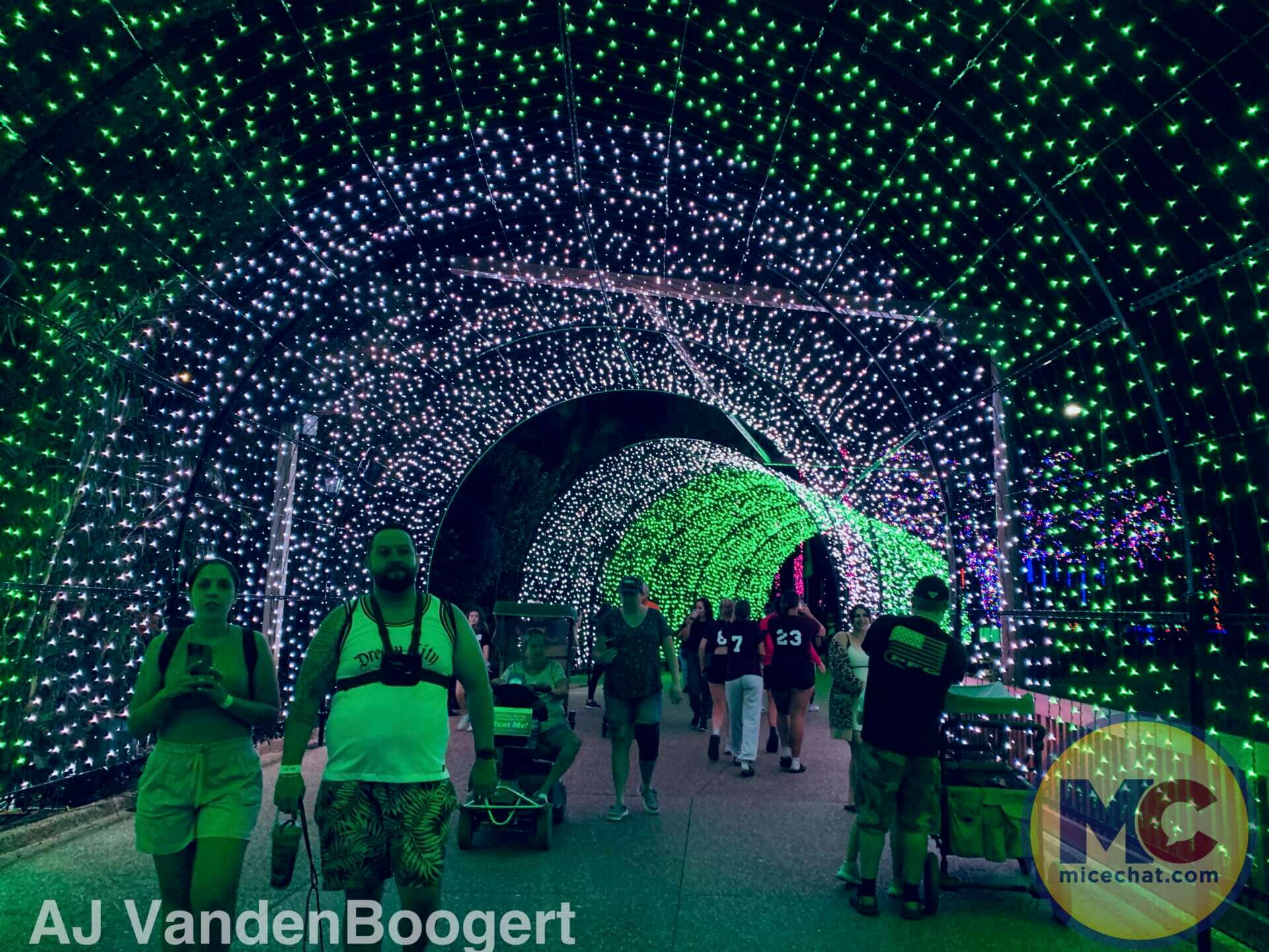 , Busch Gardens Tampa Christmas Town: Lights, Thrills, and Festive Delights!