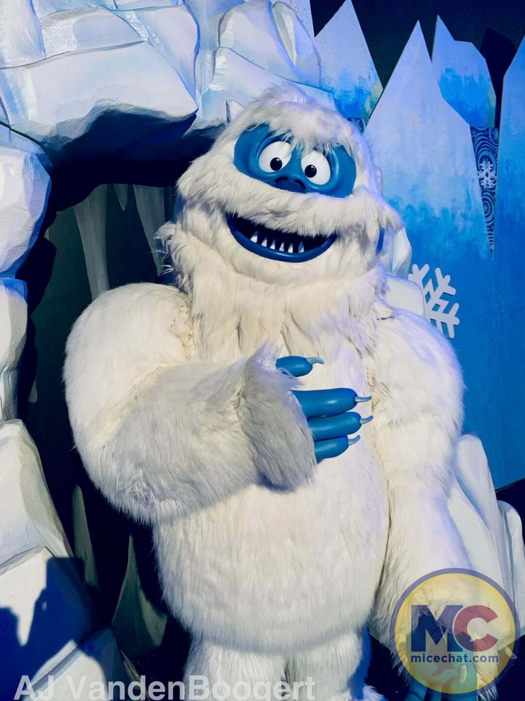 , Busch Gardens Tampa Christmas Town: Lights, Thrills, and Festive Delights!