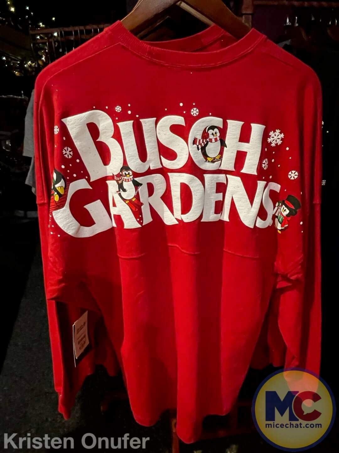 , Busch Gardens Tampa Christmas Town: Lights, Thrills, and Festive Delights!