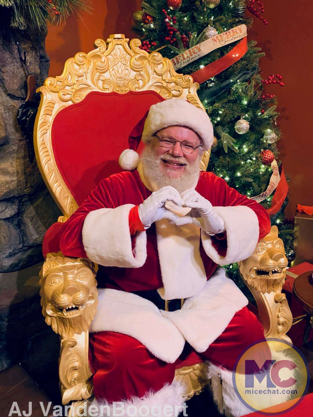 , Busch Gardens Tampa Christmas Town: Lights, Thrills, and Festive Delights!