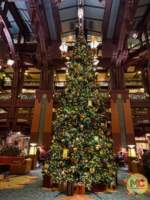 disneyland Beauty Christmas grand californian tree MiceChat