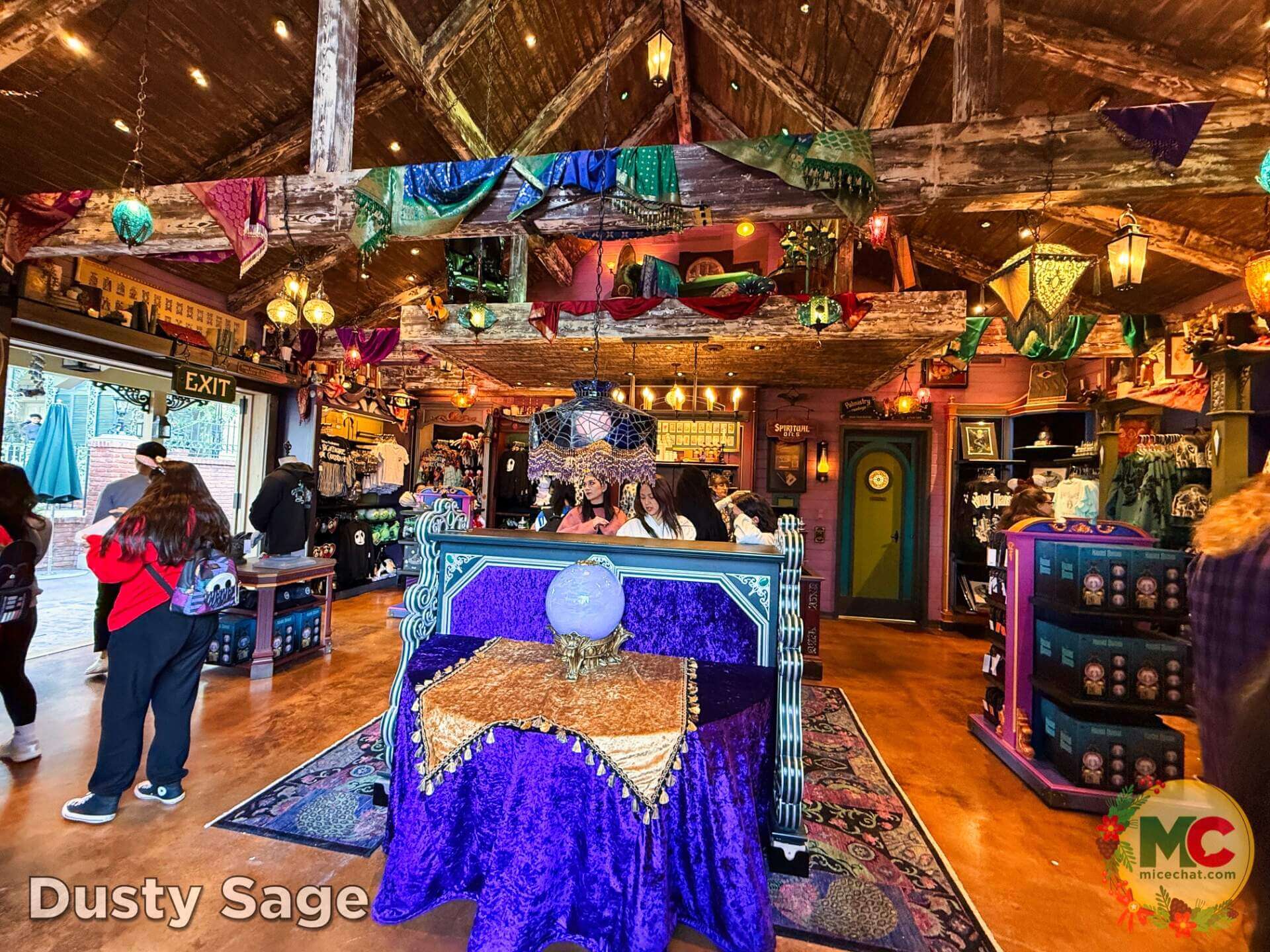 Haunted Mansion, DISNEYLAND UPDATE: Haunted Mansion Secrets, Holiday Hustle & What’s Next!