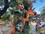disneyland beauty christmas frontierland 1 MiceChat